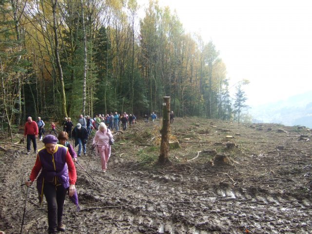 Sortie 2008 au Massif du Gresson